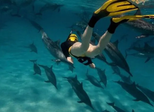 Diving