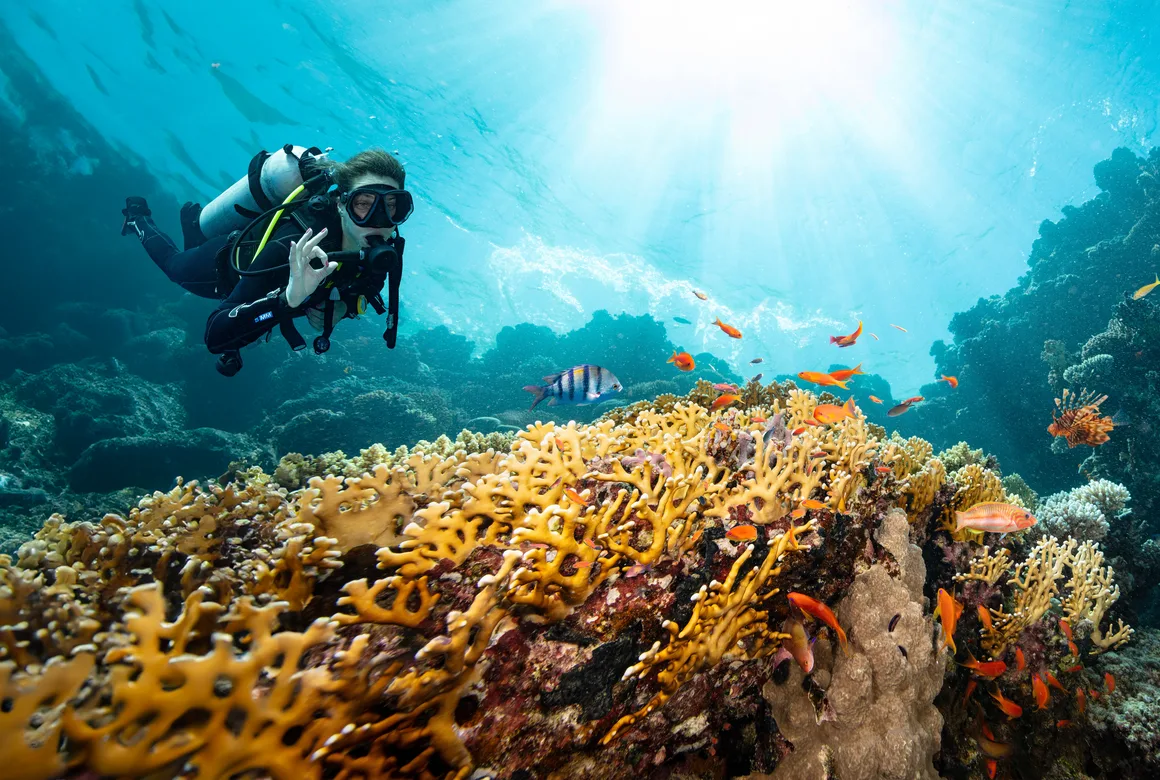 Diving