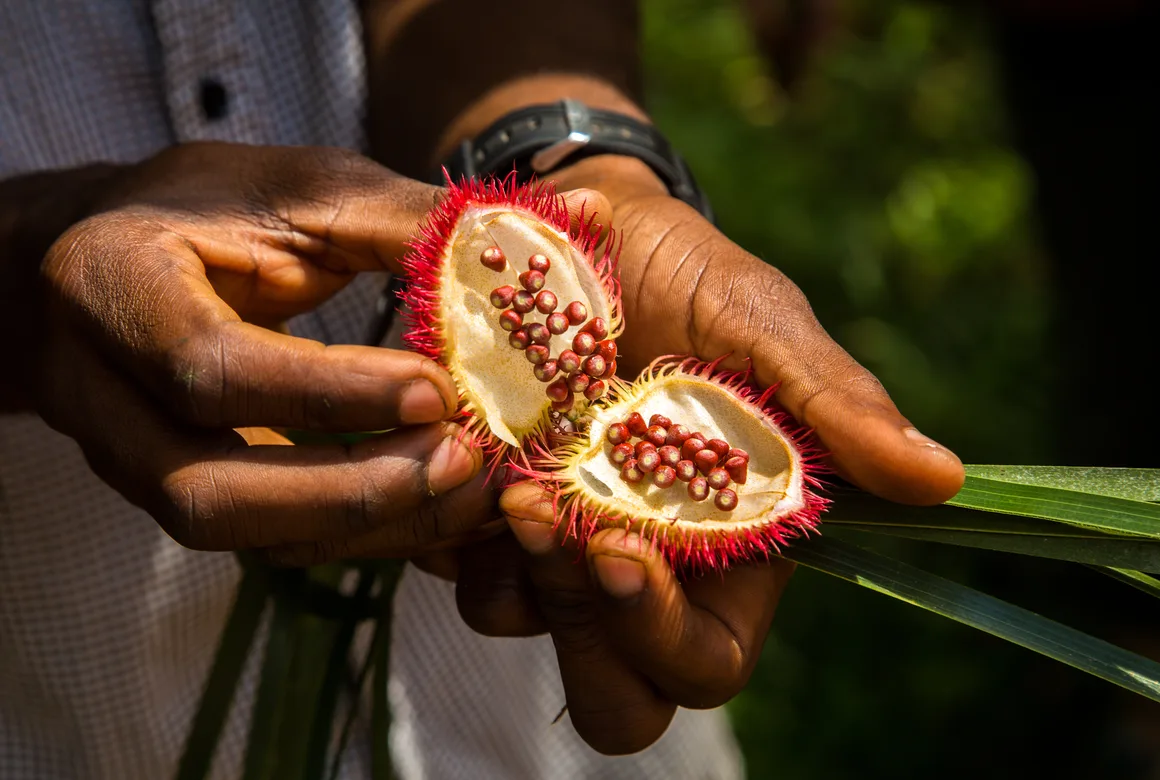 Spice Farm Experience